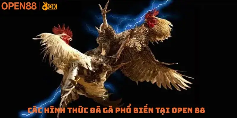 Các hình thức đá gà phổ biến tại Open 88