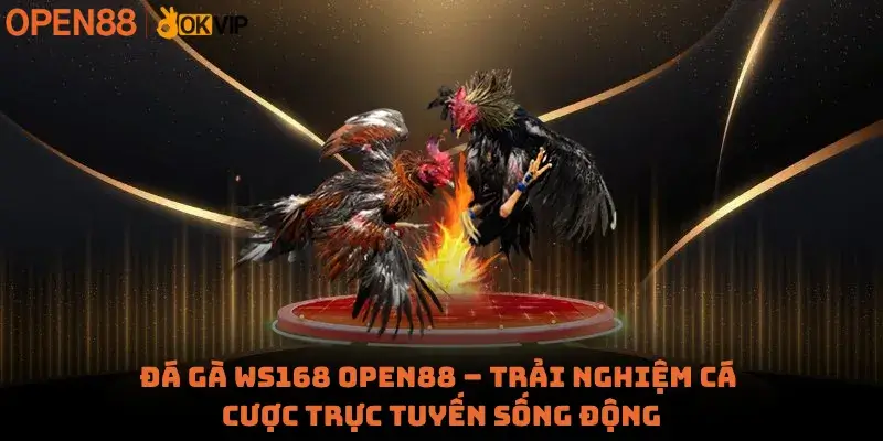 Đá Gà WS168 Open88 – Trải Nghiệm Cá Cược Trực Tuyến Sống Động