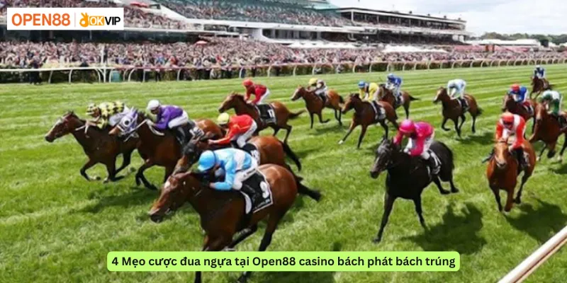 4 Mẹo cược đua ngựa tại Open88 casino bách phát bách trúng