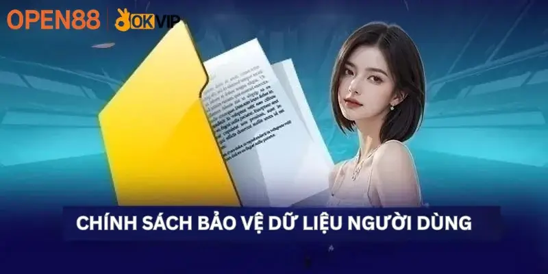 Chính sách bảo vệ dữ liệu người dùng