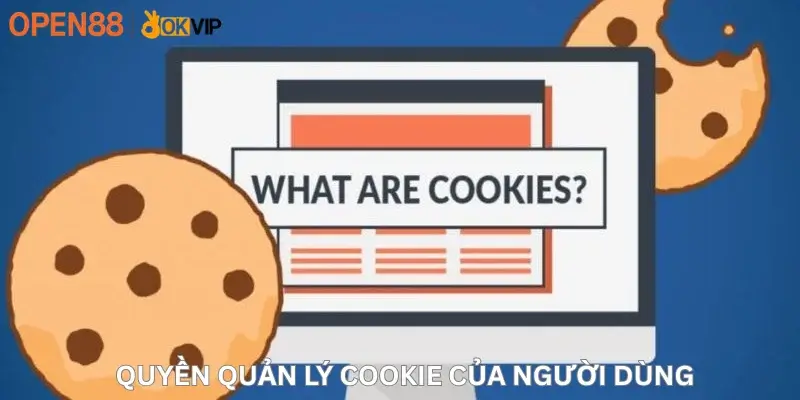 Quyền quản lý cookie của người dùng