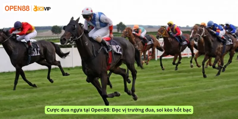 Cược đua ngựa tại Open88: Đọc vị trường đua, soi kèo hốt bạc